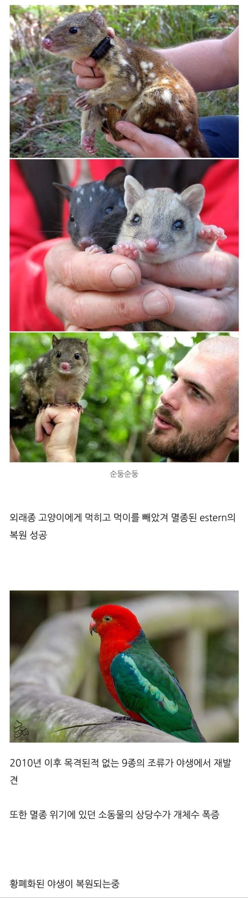 캣맘들 발작버튼