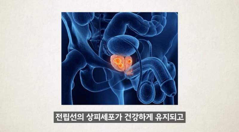 한달에 21번 사정하라.jpg