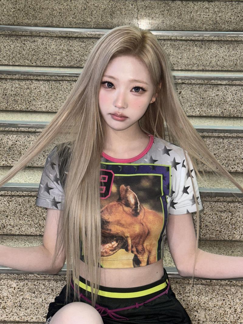 하츠투하츠 스텔라