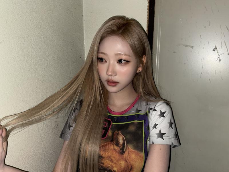 하츠투하츠 스텔라