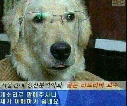 갱상도여자의 운전 비법 전수