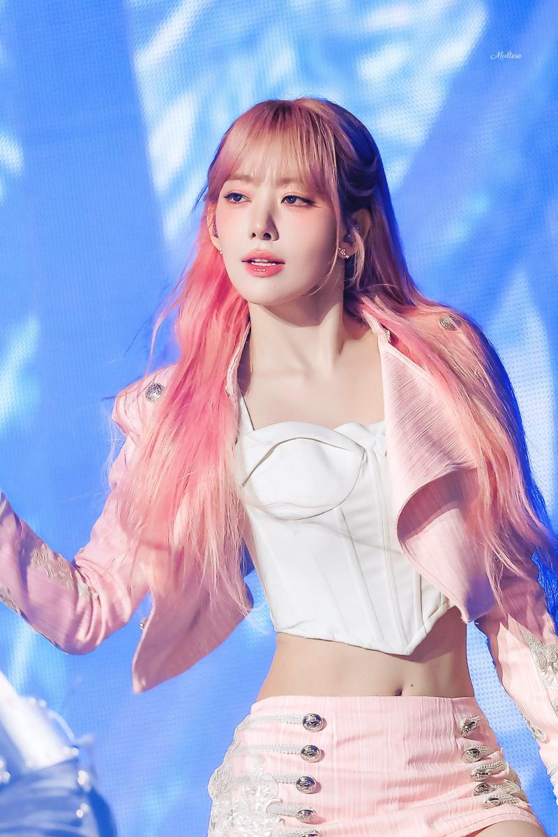 르세라핌 사쿠라 KDWA 260827