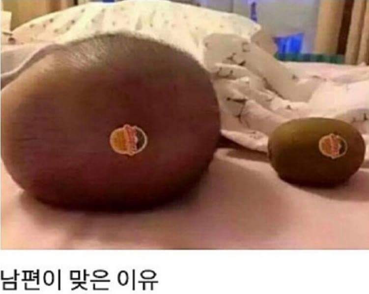 남편이 맞은 이유