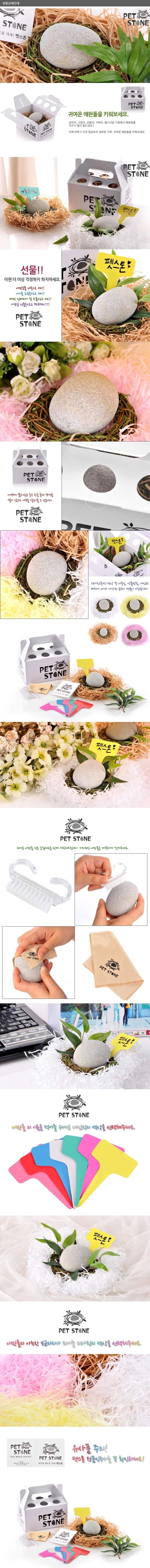 특이점이 온 애완동물