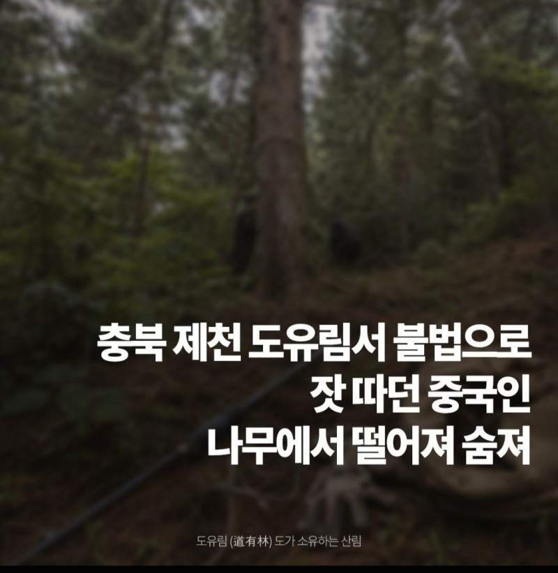 착해진 따거.news
