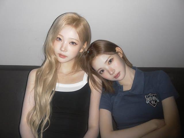하츠투하츠