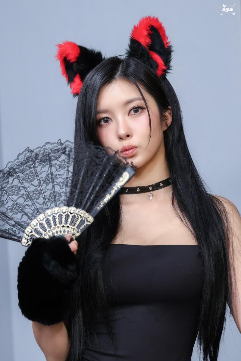 케플러 김다연
