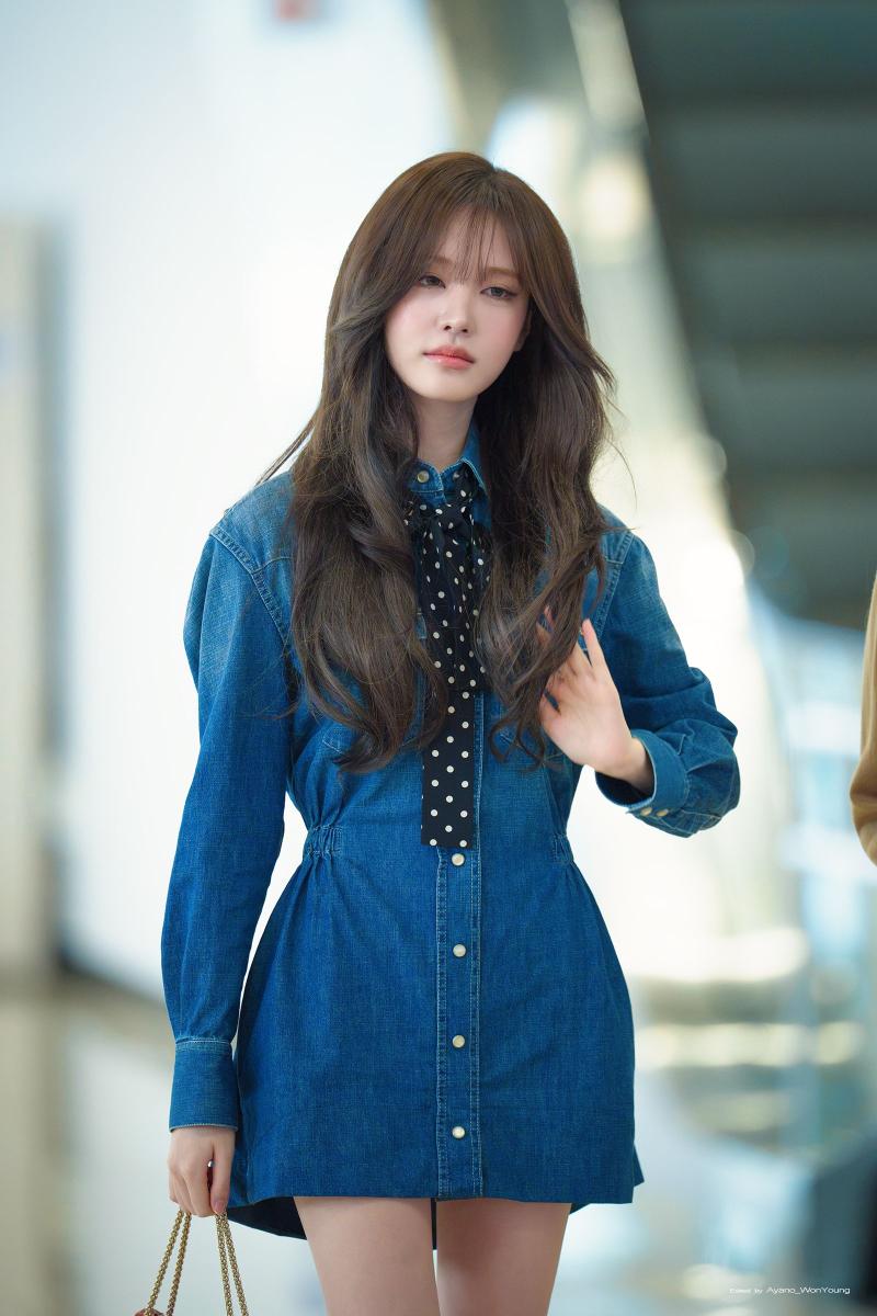 아이브 리즈