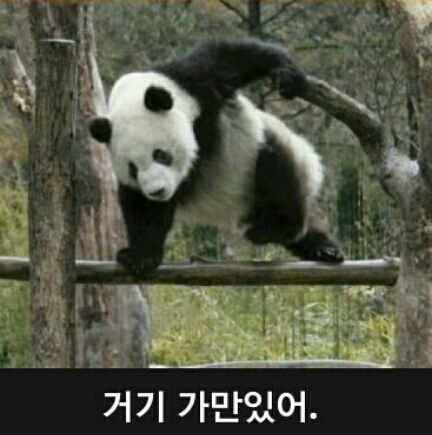 결국 강원도 속초에 생겨버린 남자 카페