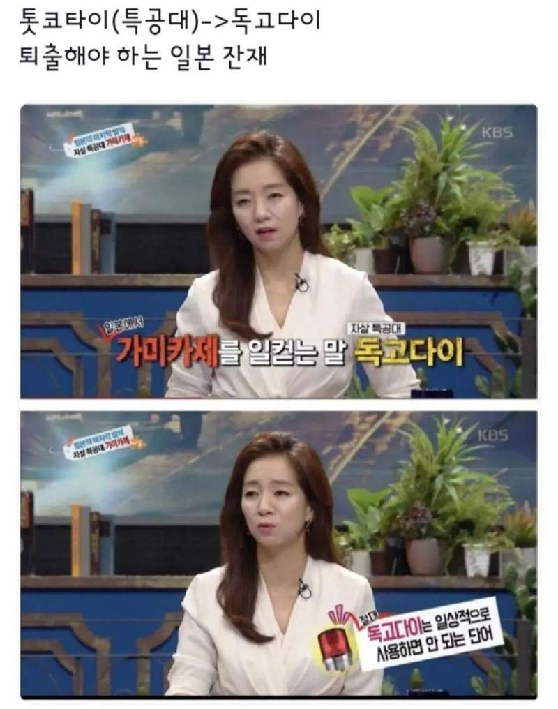독고다이라는 말을 쓰면 안되는 이유