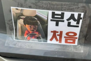 부산에 처음 놀러간 초보운전자