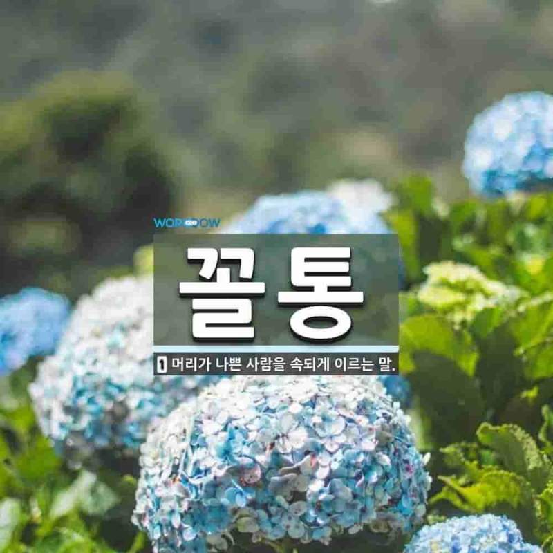 손절을 부르는 남편의 역사 의식