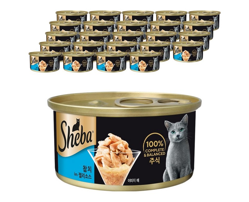 쉬바 고양이 캔