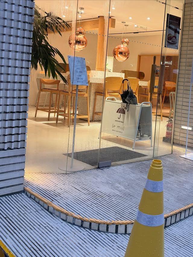 이채연
