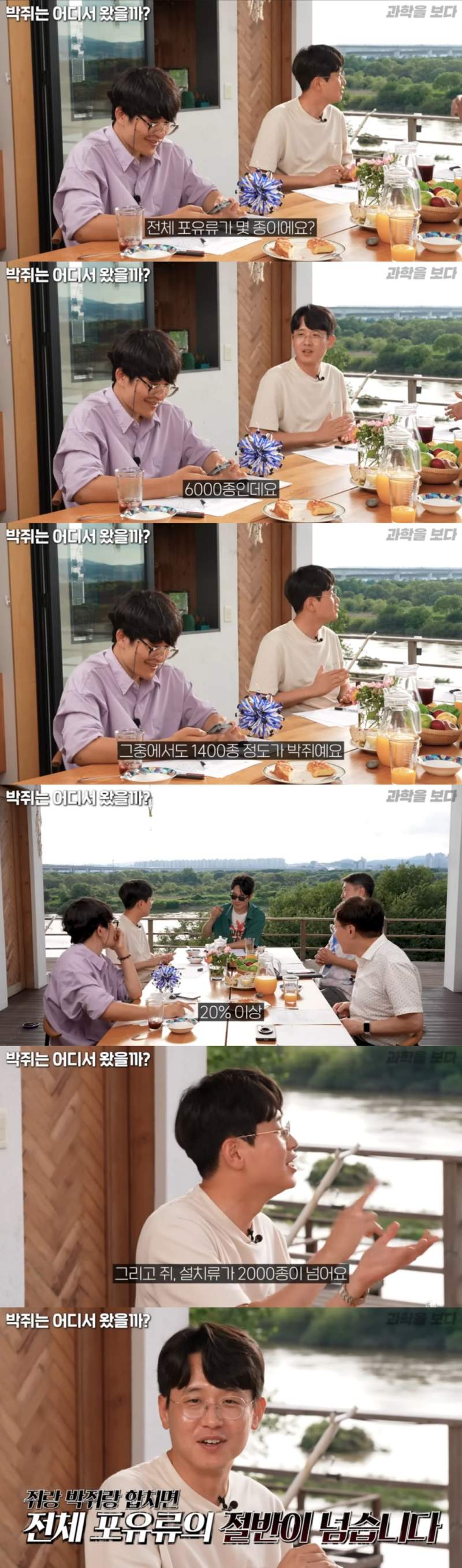 생각보다 종이 훨씬 많은 포유류