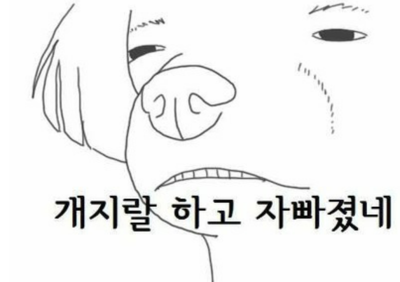 용궁사 타투녀 해명