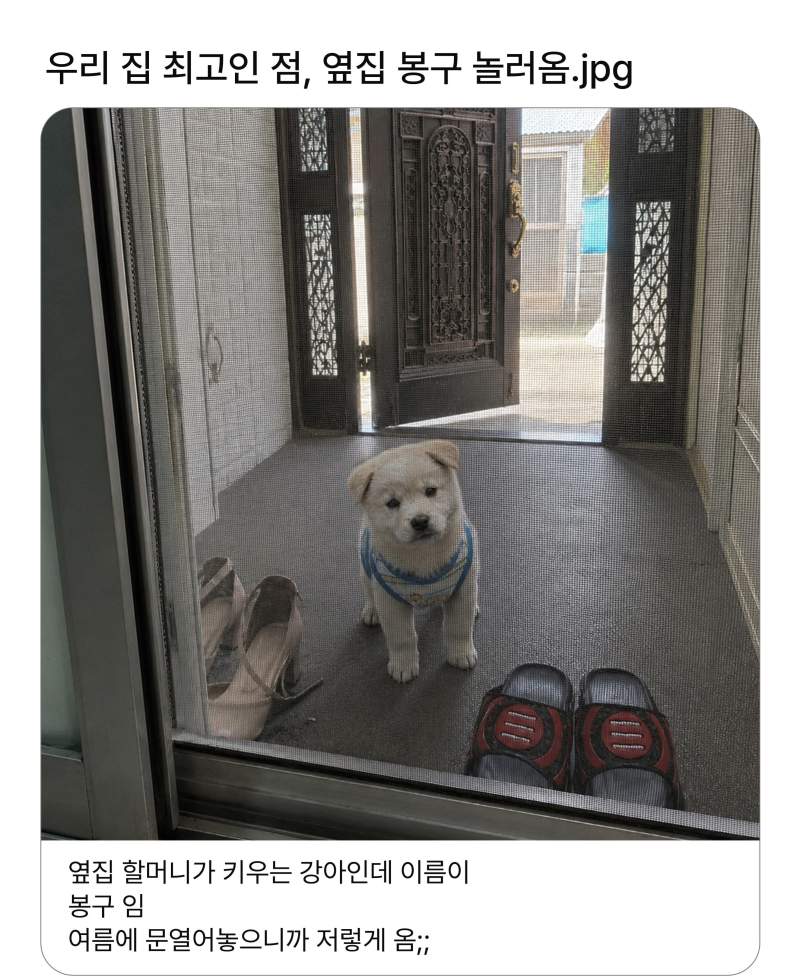 펌)우리집 최고인 점