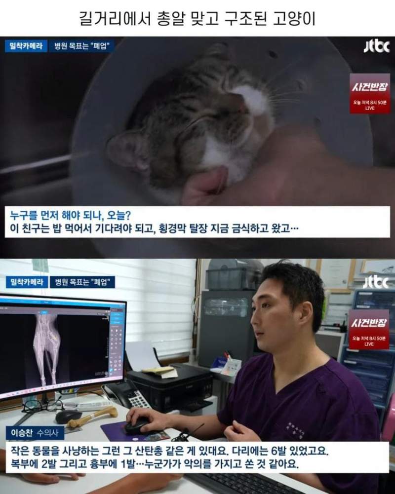 진료비 천 원이라는 동물병원.jpg