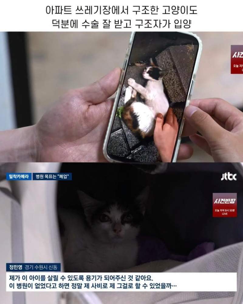 진료비 천 원이라는 동물병원.jpg