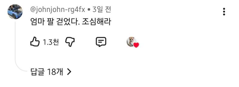 엄마냥이한테 반항하는 사춘기 아기 고양이