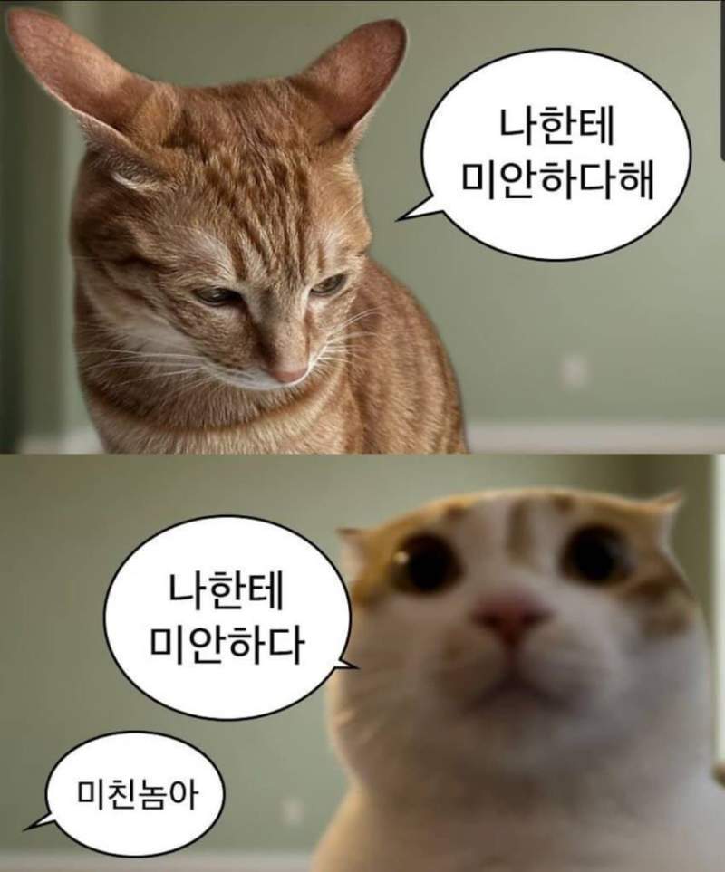 나한테 미안하다고해!!