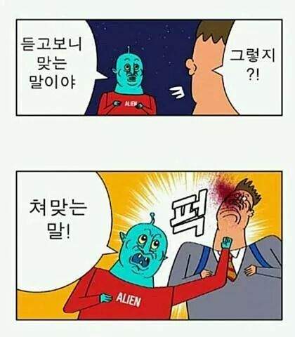 토마토에 대한 오해