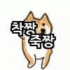 확연히 차이나는 일본VS중국 관광예절.mp4
