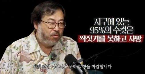요즘 남자들이 연애 안하는 이유