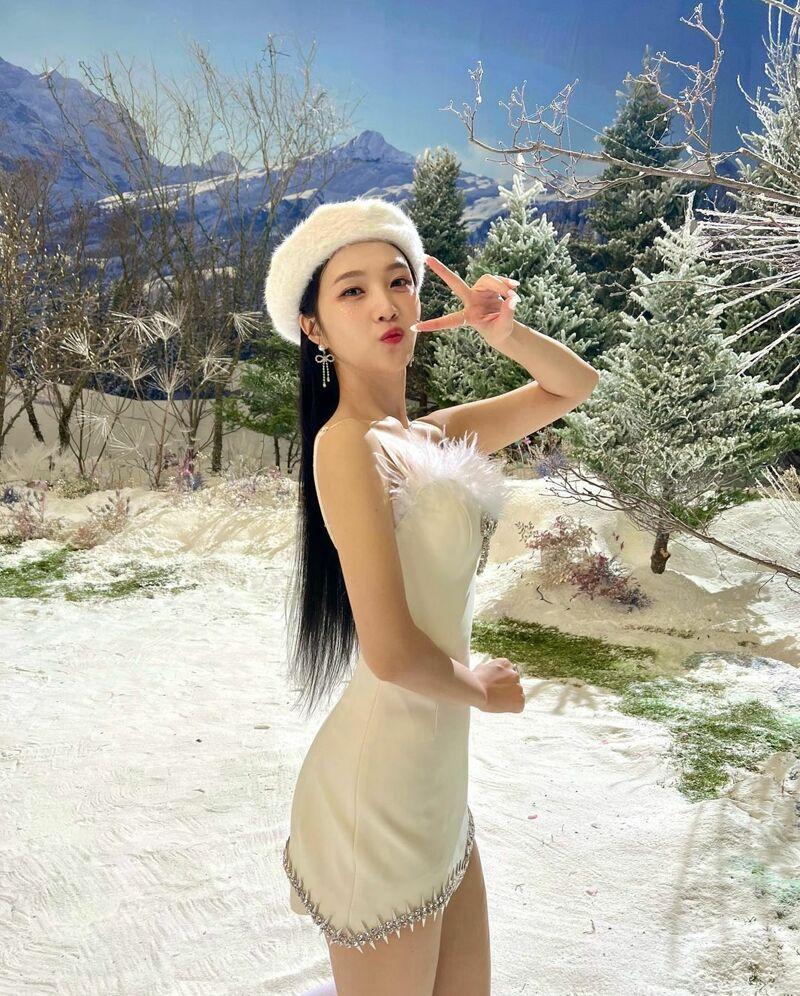 레드벨벳 조이