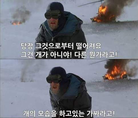 남극에 15마리 개를 버리고 간 일본.
