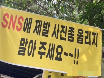 제발 SNS에 올리지말라는 식당