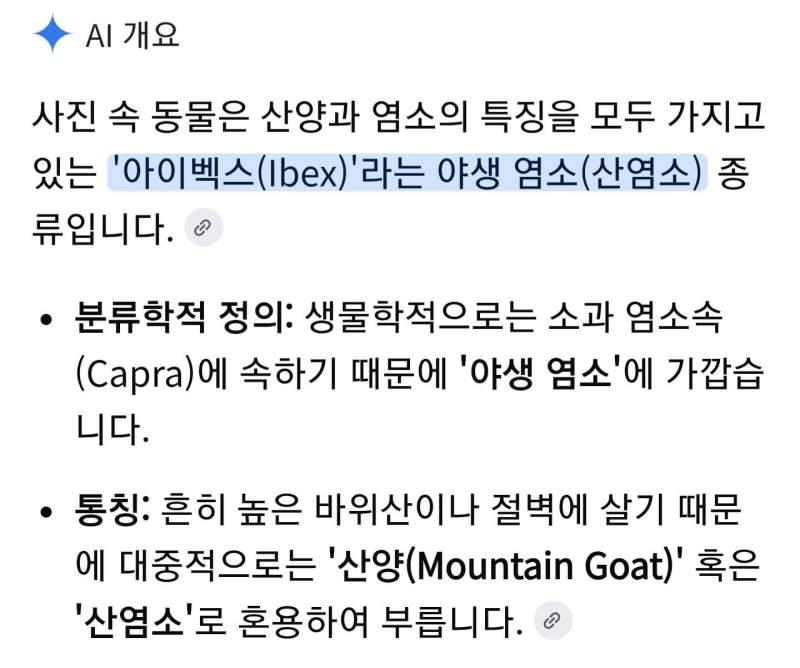 염소가 goat인 이유