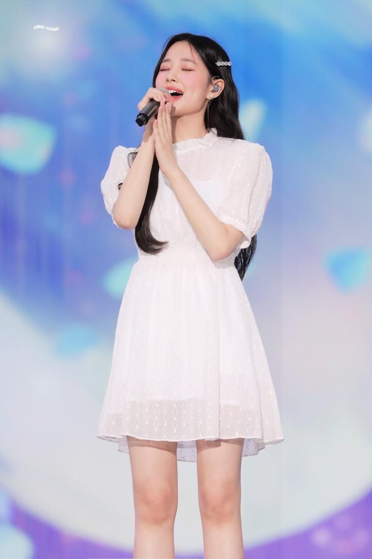 위클리 지한