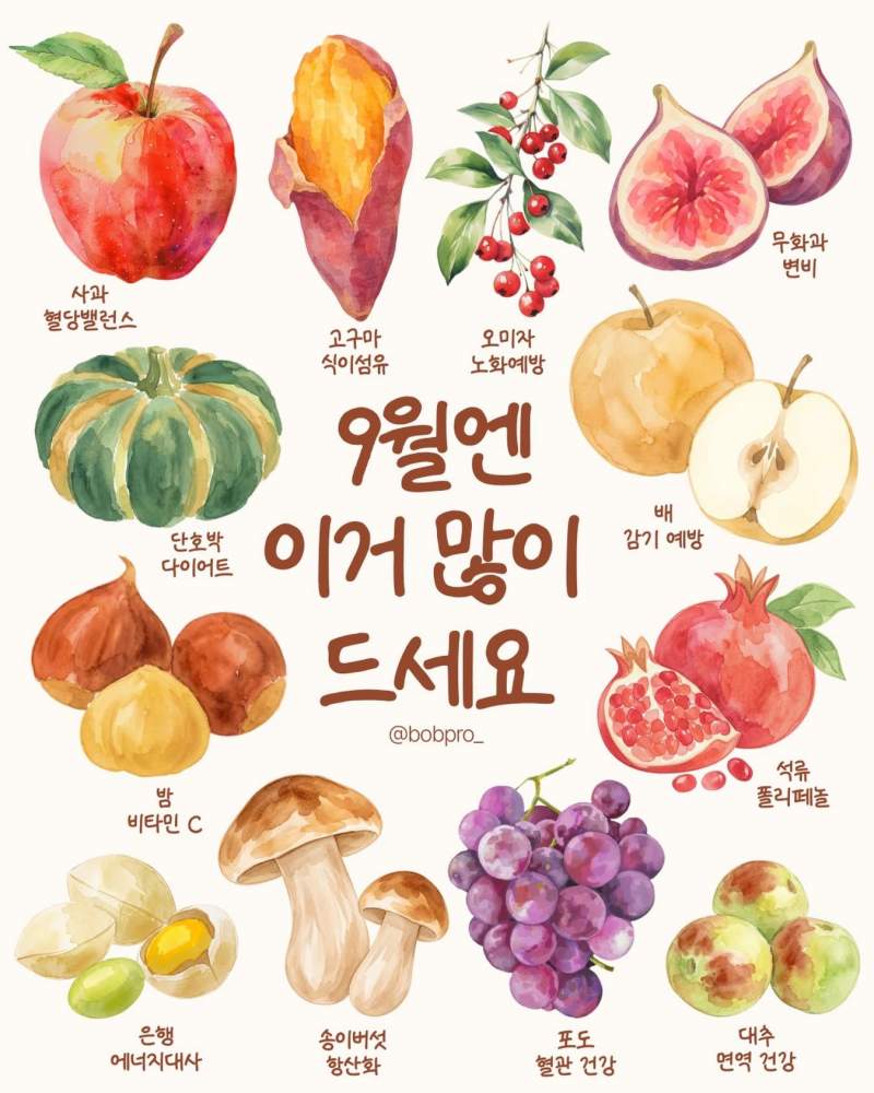 9월 제철음식