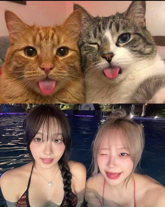 지지원, 클로이(전 시그니처)