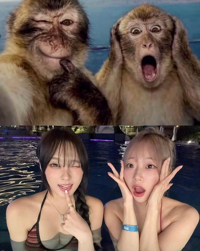 지지원, 클로이(전 시그니처)
