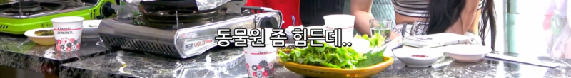 하다하다 x냄새 바이럴하는 아이돌판ㅋㅋㅋㅋㅋㅋ