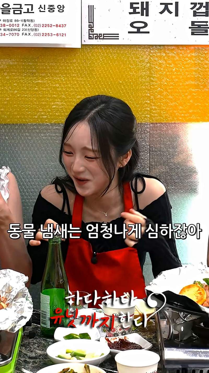 너무 솔직해서 웃긴 동물원이 싫은이유.jpg