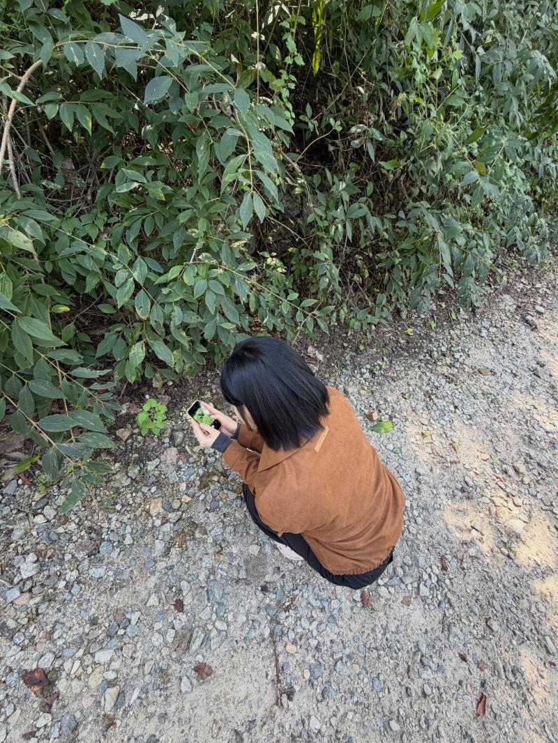 한수아