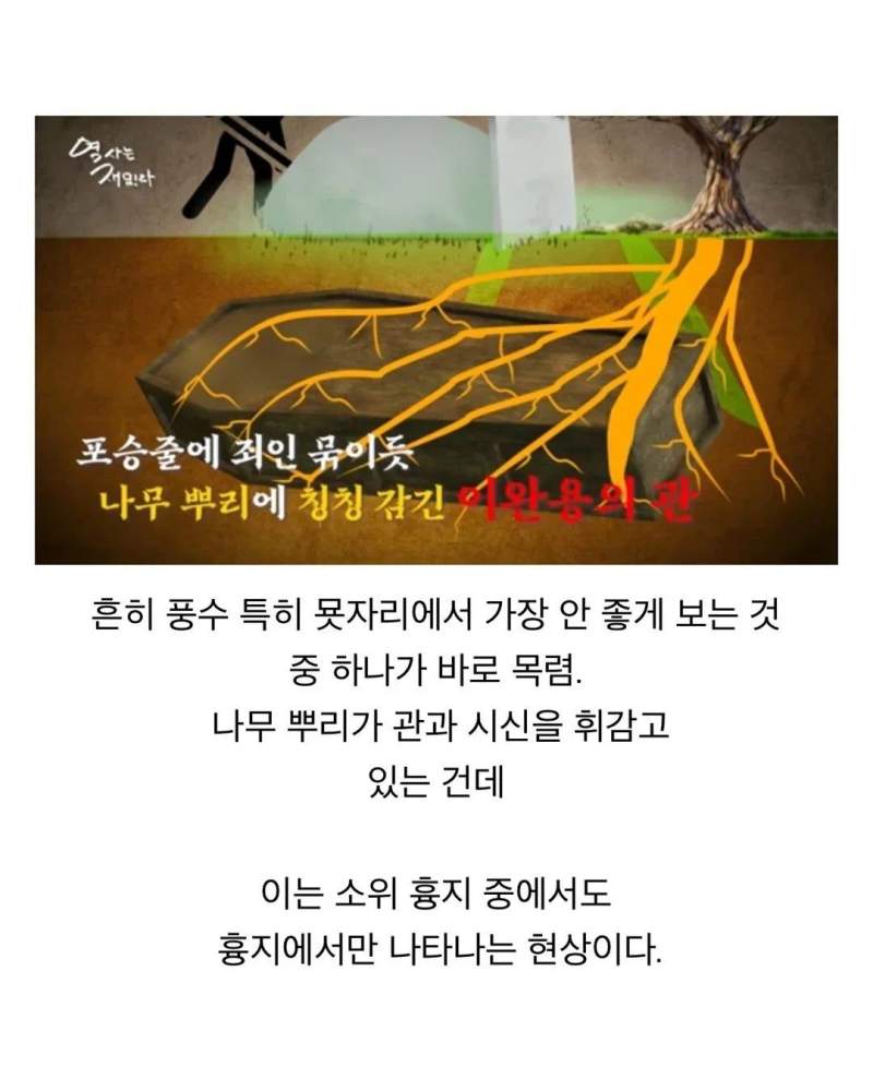 풍수지리를 믿을수 없는 이유(feat.이완용)