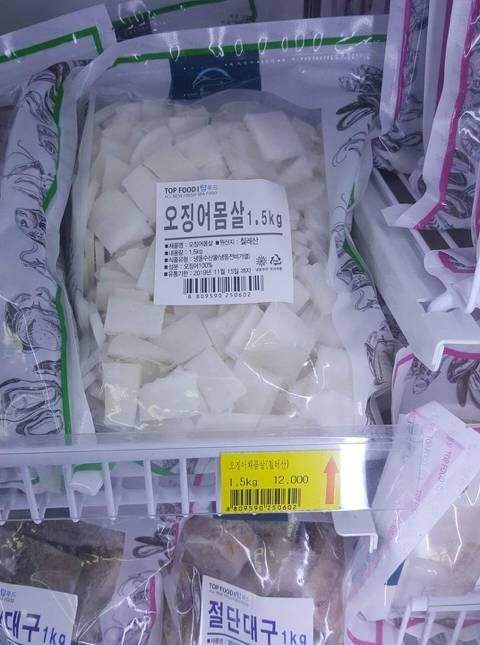 오징어가 아프면?