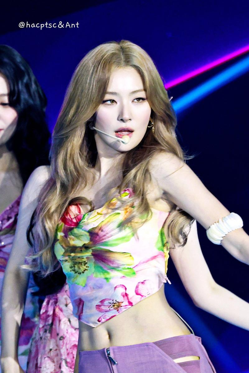 레드벨벳 슬기