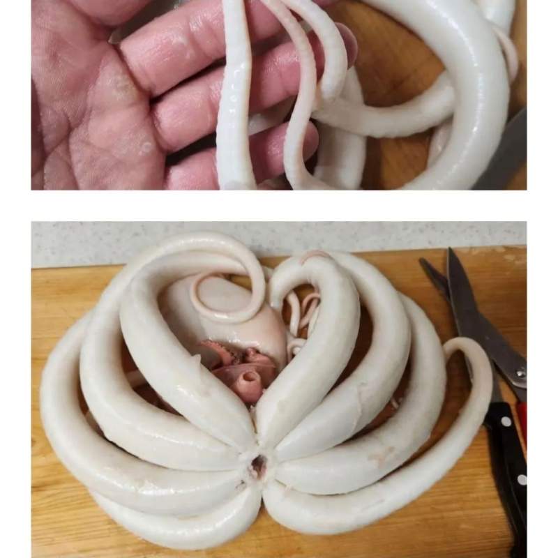 의도치 않은 해산물 손질의 달인.jpg