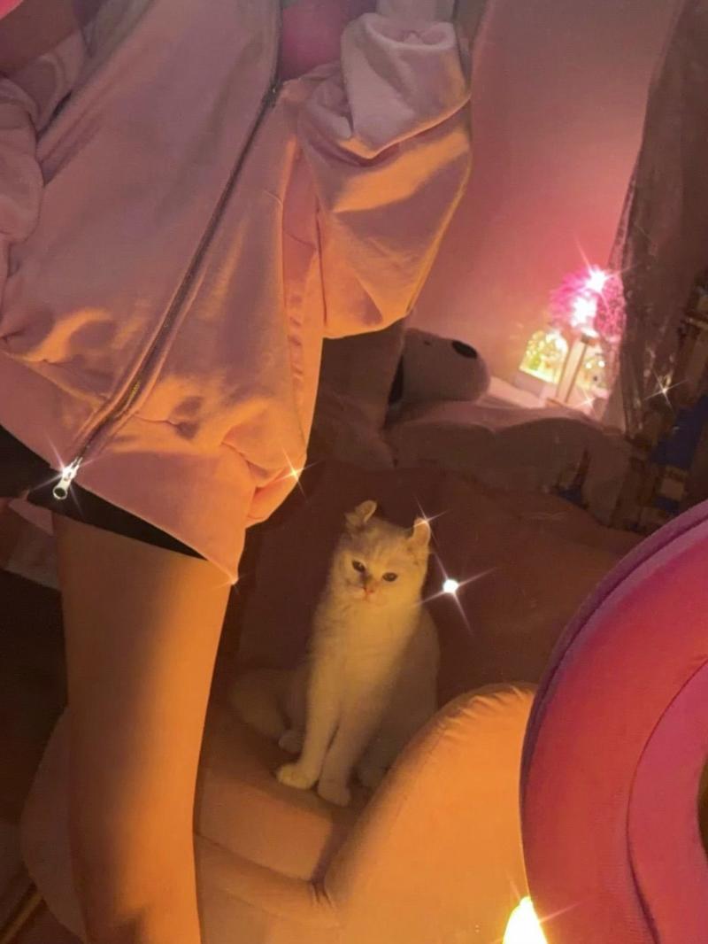 하이키 휘서