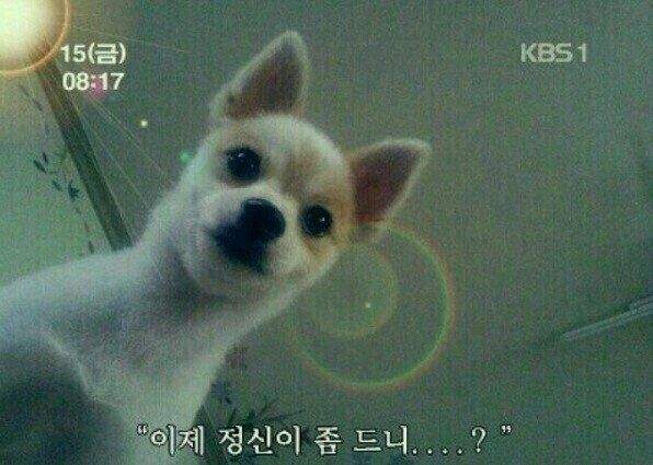 같이 사진 찍은 일본 고딩들.jpg