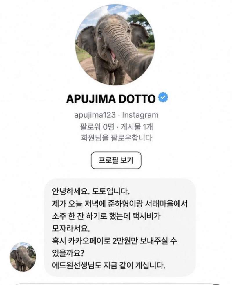 무한도전 아프지마 도토 잠보 근황