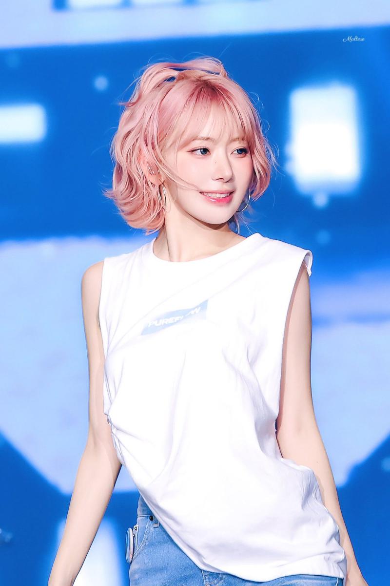 르세라핌 사쿠라