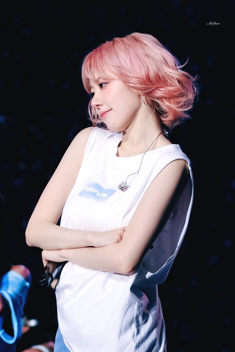 르세라핌 사쿠라