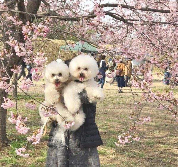 엄마 VS 아빠 안겼을때 온도 차이.