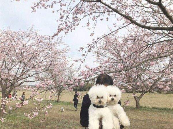 엄마 VS 아빠 안겼을때 온도 차이.